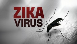 ZIKA TẠI VIỆT NAM, VIRUS ZIKA